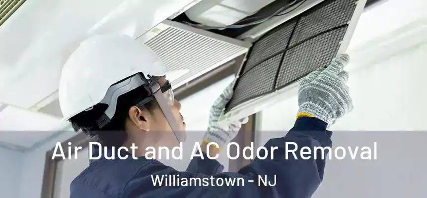  Air Duct and AC Odor Removal Williamstown - NJ