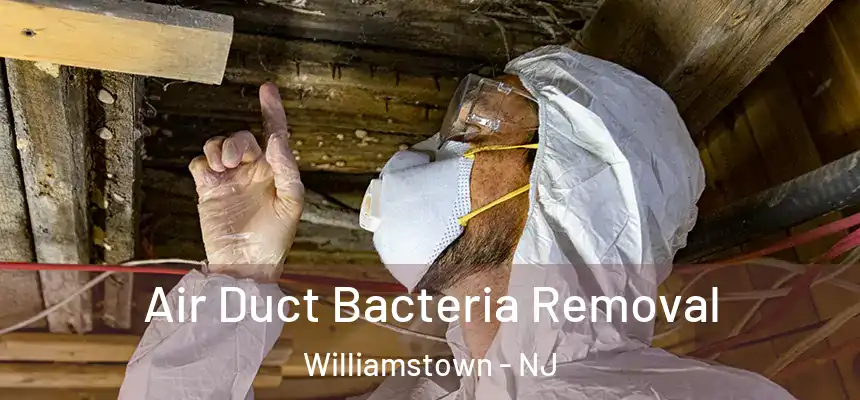  Air Duct Bacteria Removal Williamstown - NJ