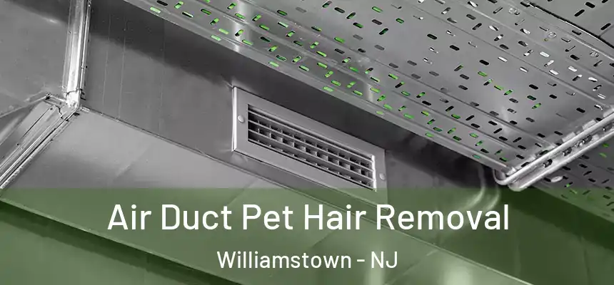  Air Duct Pet Hair Removal Williamstown - NJ
