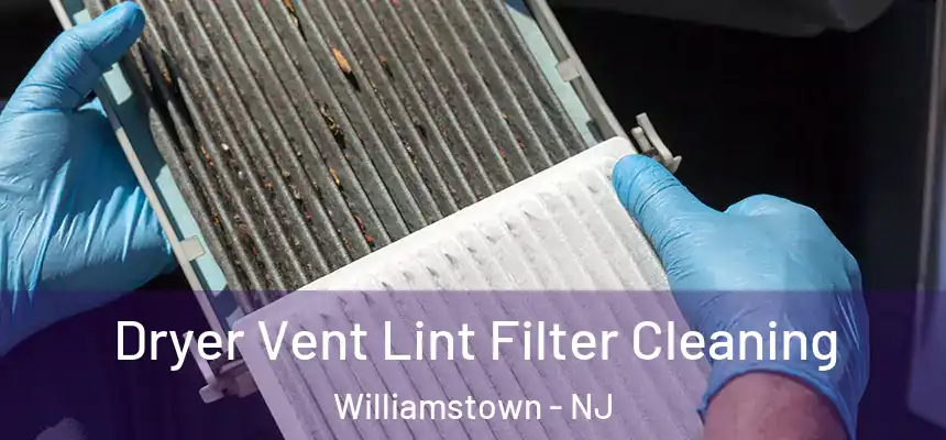  Dryer Vent Lint Filter Cleaning Williamstown - NJ