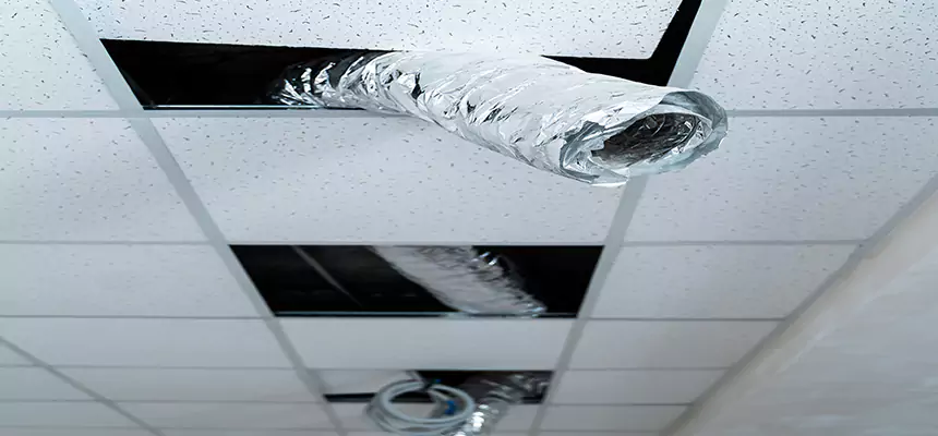 Affordable HVAC Sanitizing After Pest Removal in Williamstown