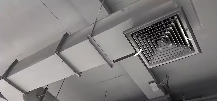 Restorative Allergy Relief Vent Cleaning – Coil, Blower & Housing Detail in Williamstown