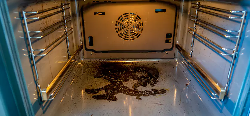 Our Dryer Vent Mold Cleaning Services in Williamstown, NJ