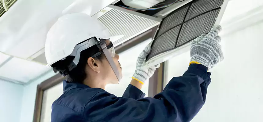 Our Mold & Mildew Removal from Air Ducts Services in Williamstown, NJ