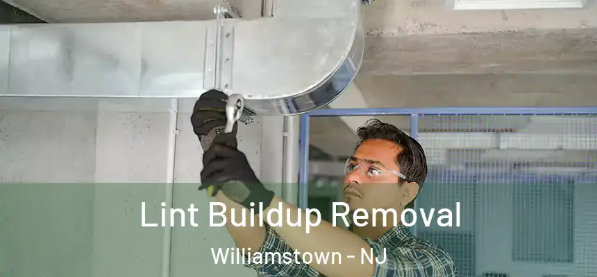  Lint Buildup Removal Williamstown - NJ