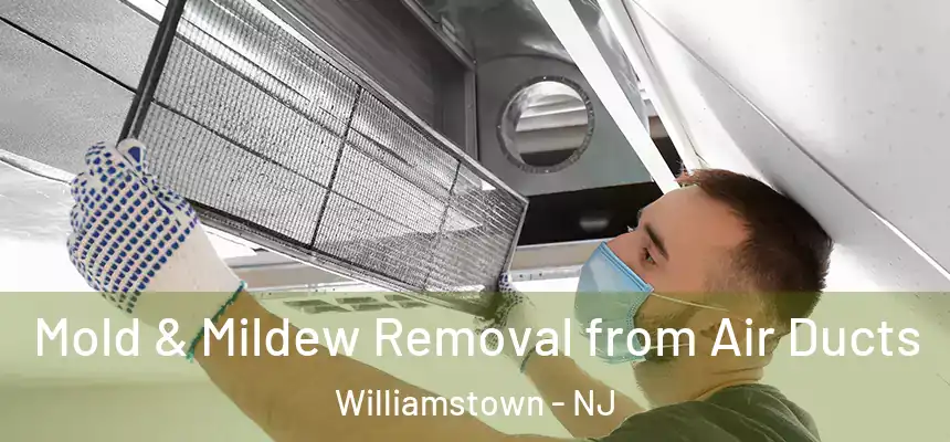  Mold & Mildew Removal from Air Ducts Williamstown - NJ
