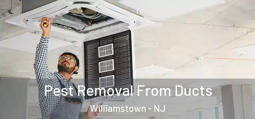  Pest Removal From Ducts Williamstown - NJ