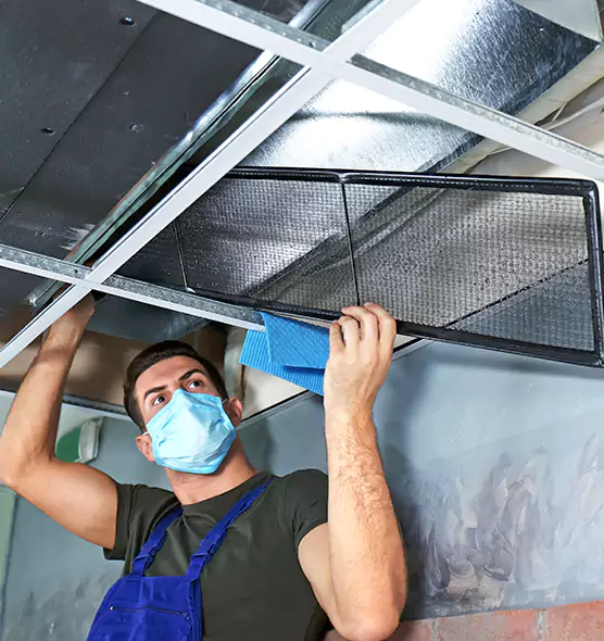 Professional Air Duct Pollen Cleaning in Williamstown, NJ