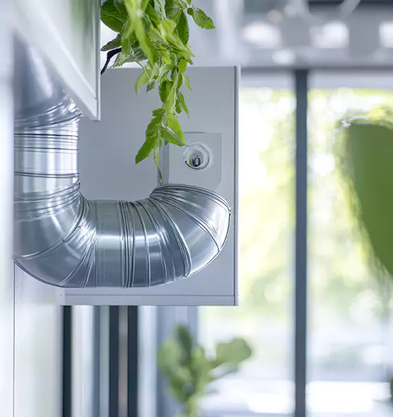 Professional Eco-Safe Dryer Vent Cleaning in Williamstown, NJ