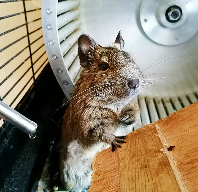 Why Homeowners & Businesses Trust Us Williamstown, NJ