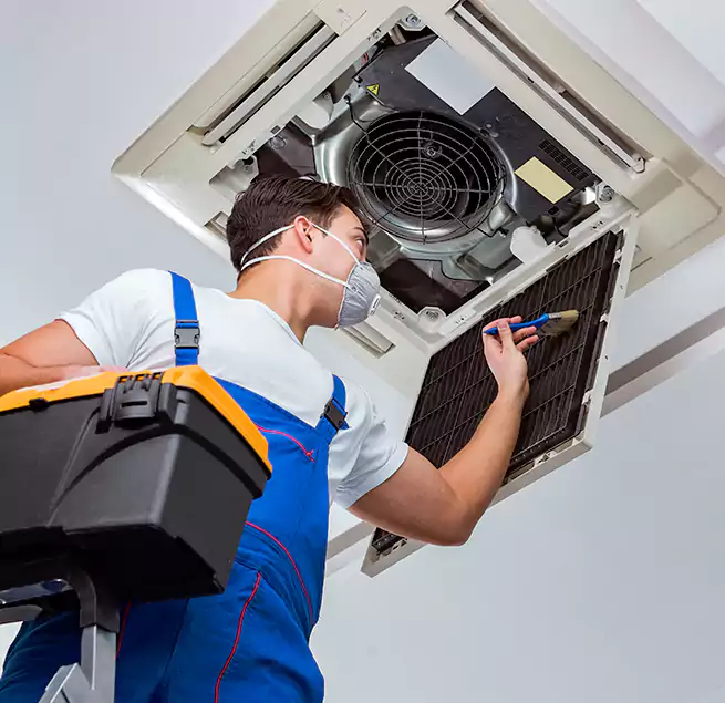 Why Homeowners & Businesses Trust Us in Williamstown, NJ