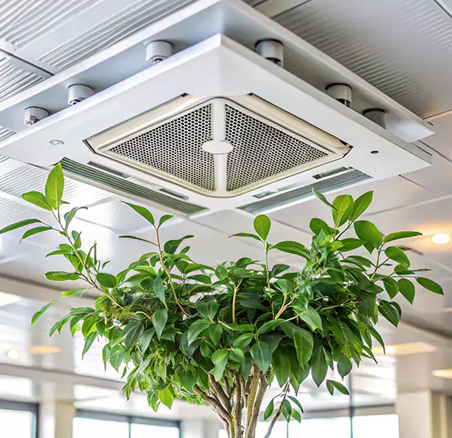 Why Homeowners & Businesses Trust Us in Williamstown, NJ