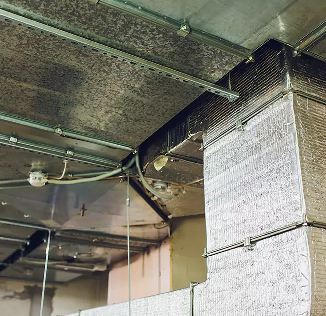 Why Homeowners & Businesses Trust Us in Williamstown, NJ?